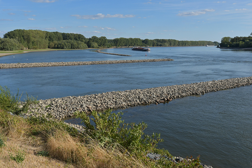 Rhein: Viel oder wenig Wasser?