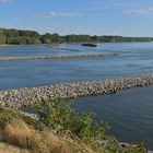 Rhein: Viel oder wenig Wasser?