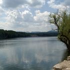 Rhein vom Schloss Beuggen her