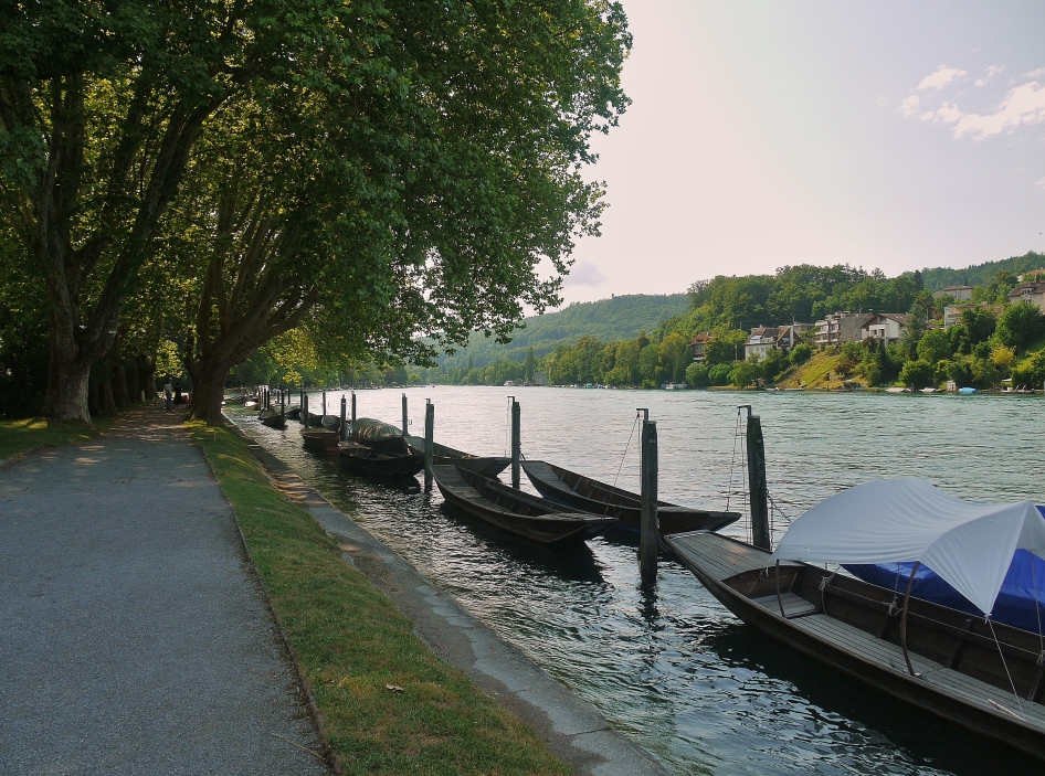 Rhein vor dem Fall ...