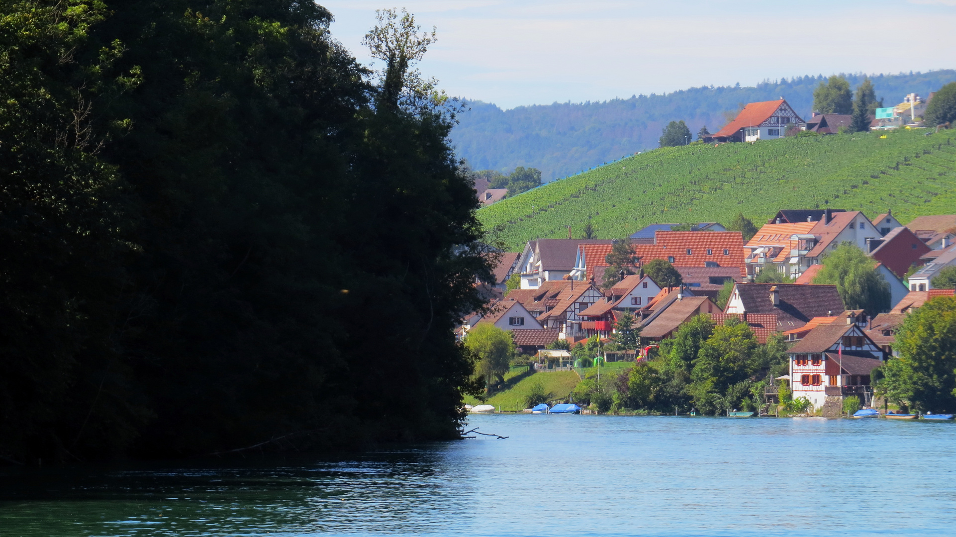 Rhein vor Eglisau