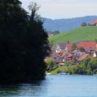 Rhein vor Eglisau