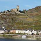 Rhein-Wein