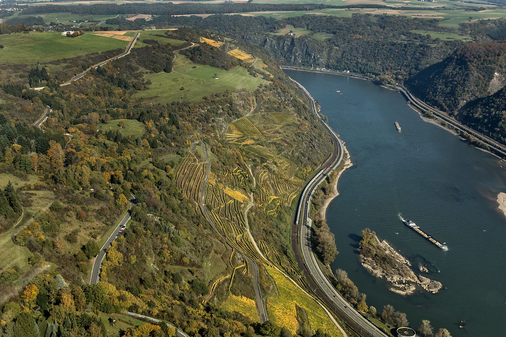 RHEIN-WEIN unweit von der Loreley