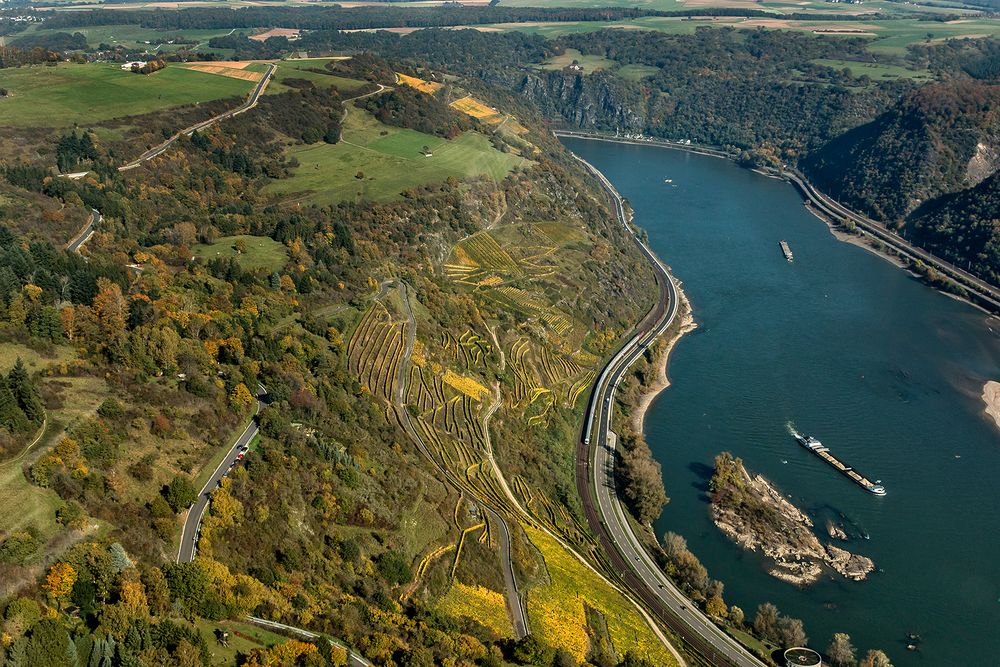 RHEIN-WEIN unweit von der Loreley