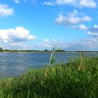 Rhein_4