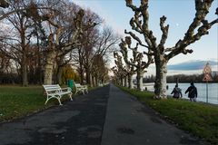 Rheinallee in Rüdesheim