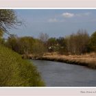 Rheinaltarm im Kühkopfgebiet