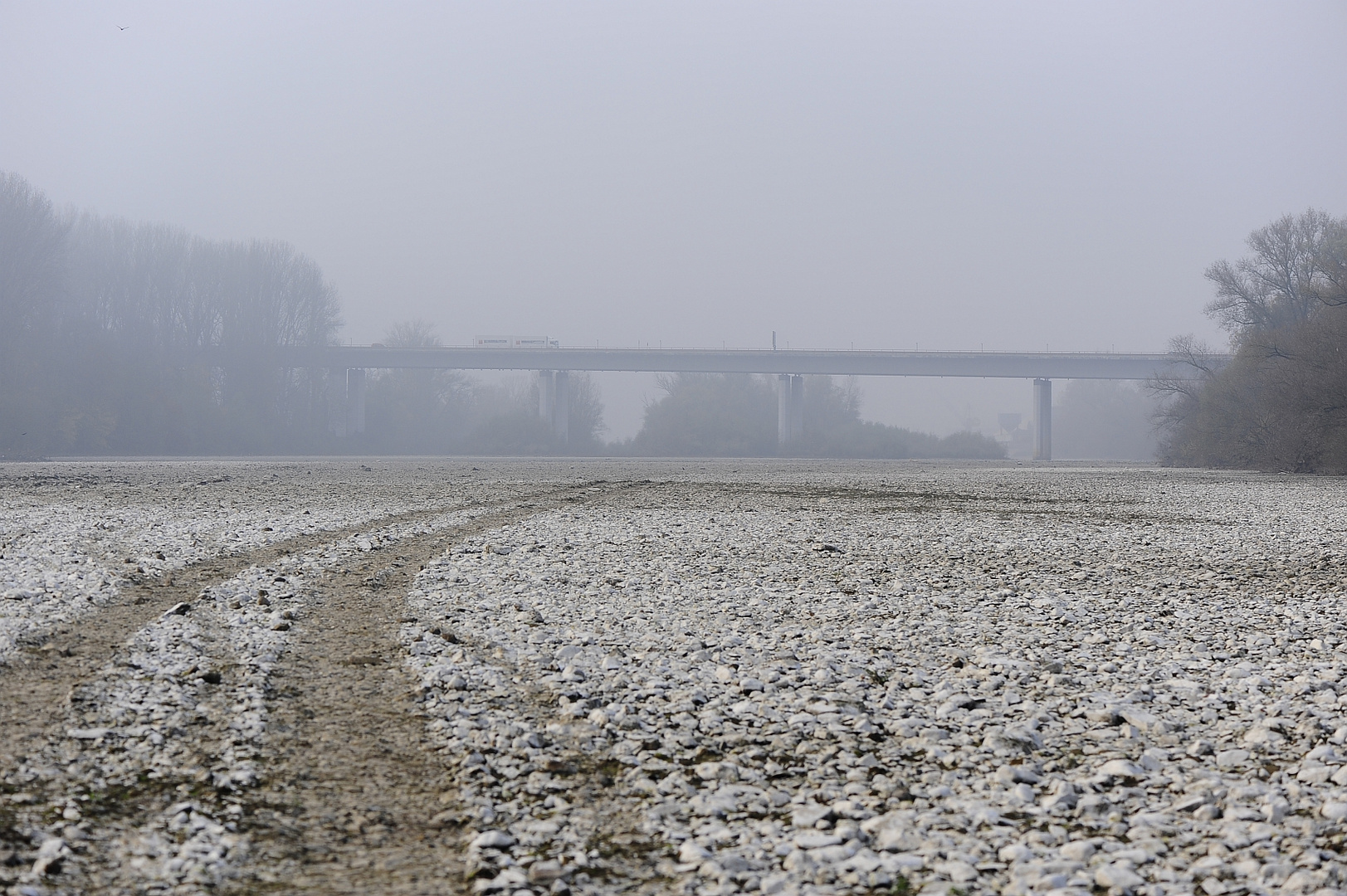 Rheinarm bei Koblenz ohne Wasser