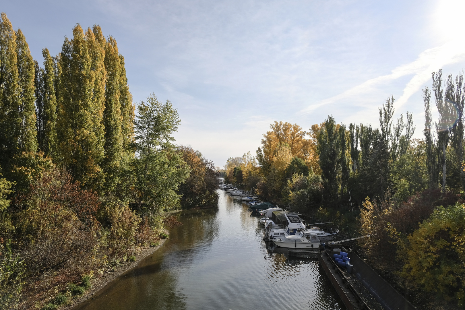 Rheinarm bei Mainz