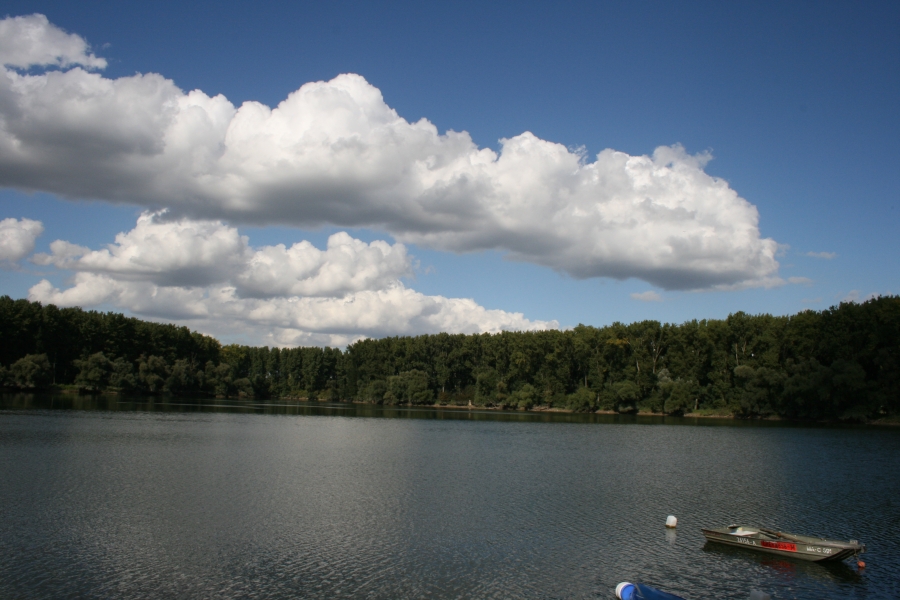 Rheinarm in Hochstetten - Insel Rott