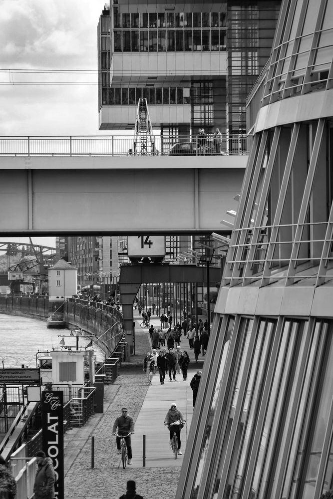 RHEINAU Hafen KÖLN 