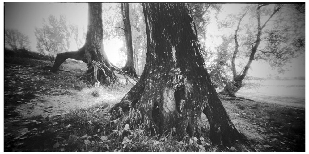 Rheinaue bei Baumberg im Oktober 2007