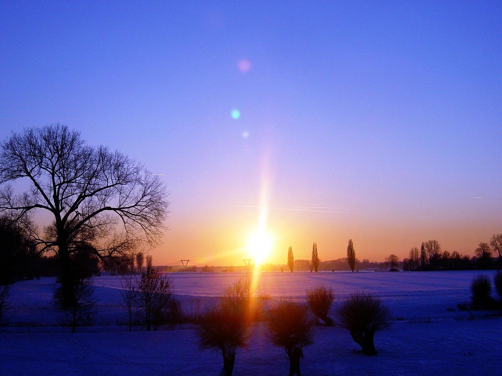 Rheinaue bei Kaiserswerth im Winter 2009