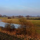 Rheinaue bei Rees, am Niederrhein.