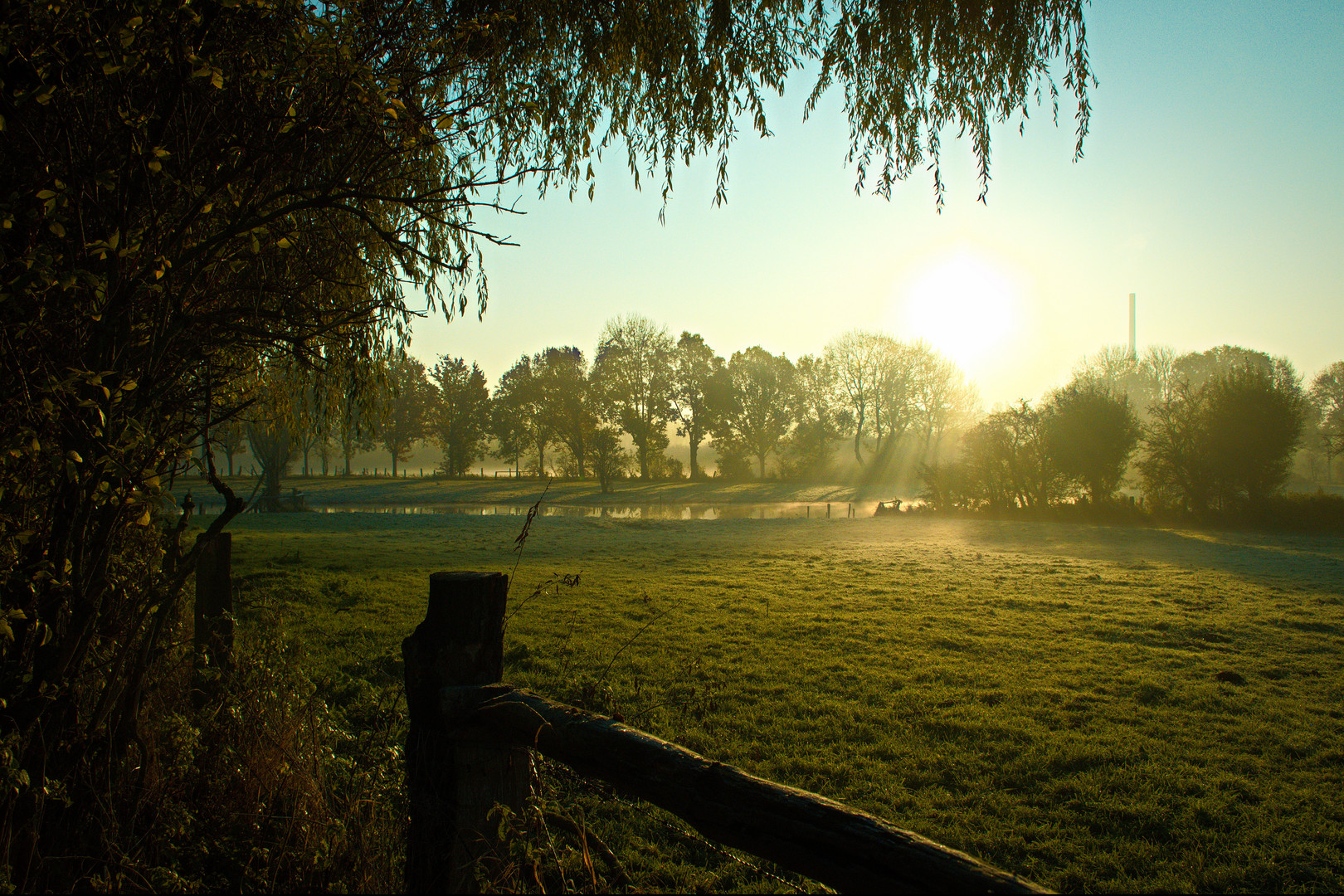 Rheinaue bei Walsum