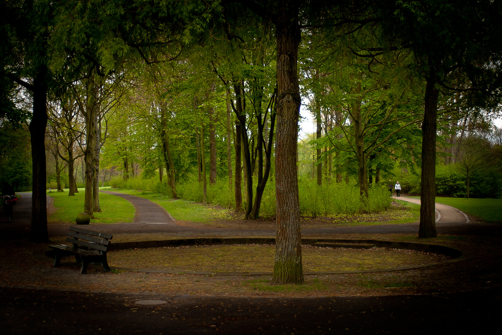 Rheinaue Bonn