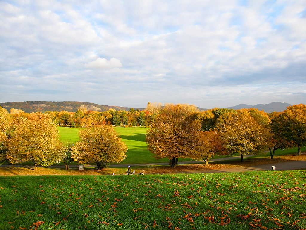 Rheinaue Bonn