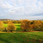 Rheinaue Bonn