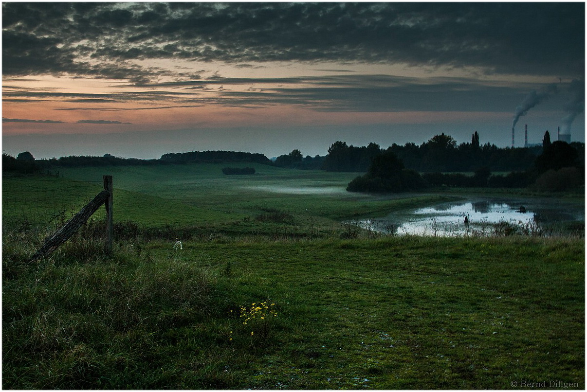 Rheinaue DU-Walsum (Sommer)