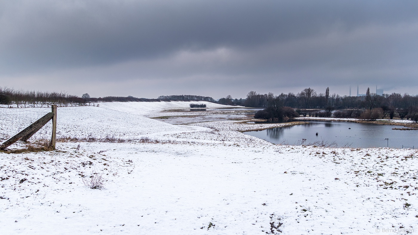 Rheinaue DU-Walsum..(Winter)