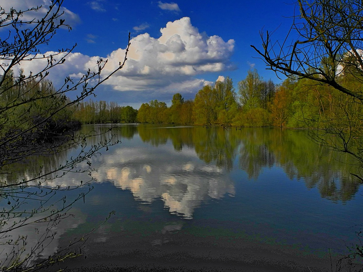 Rheinaue Duisburg / Walsum