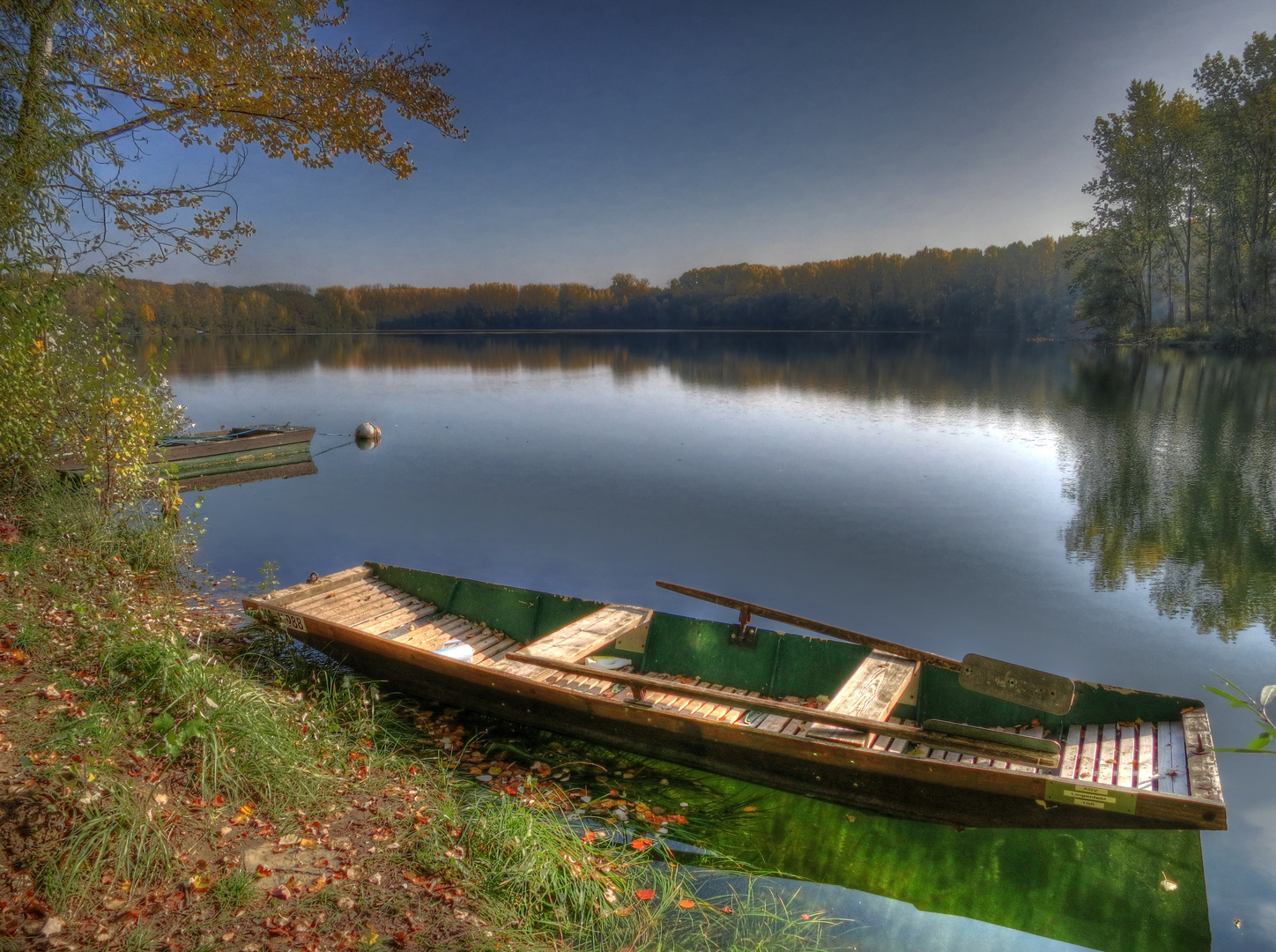 Rheinaue im Herbst