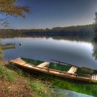 Rheinaue im Herbst