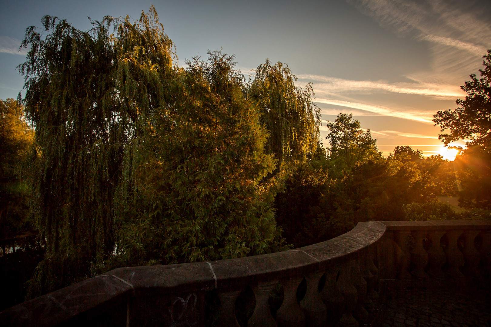 Rheinaue in Bonn