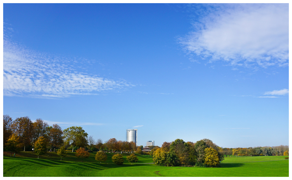 Rheinaue in Bonn