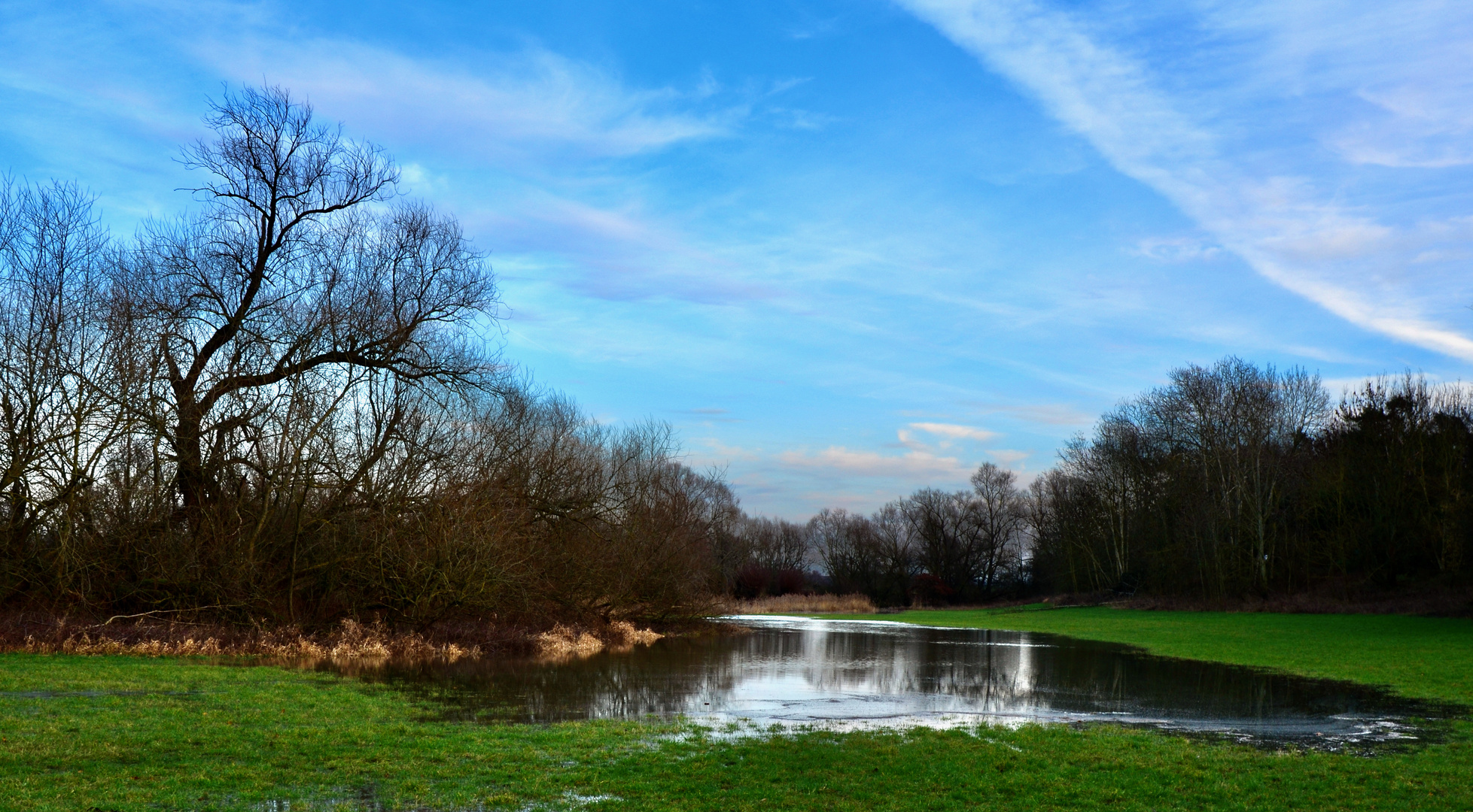 Rheinaue Spiegel Hochwasser