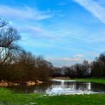 Rheinaue Spiegel Hochwasser