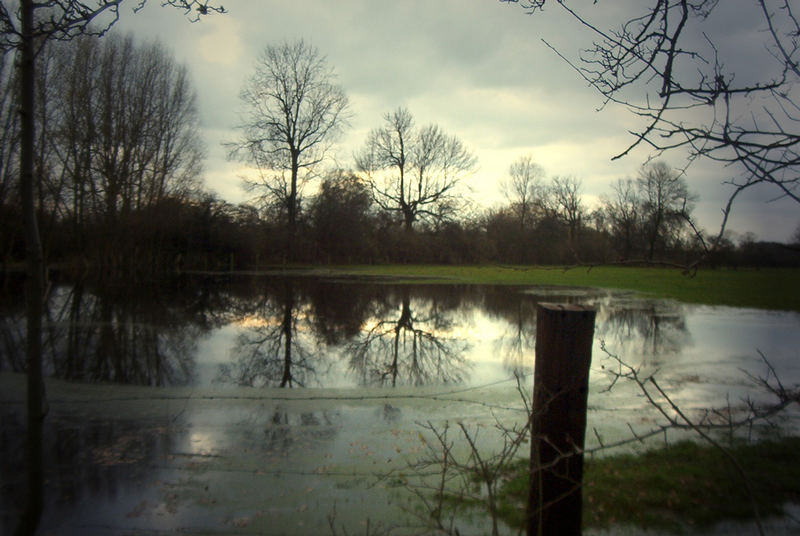 Rheinaue unter Wasser