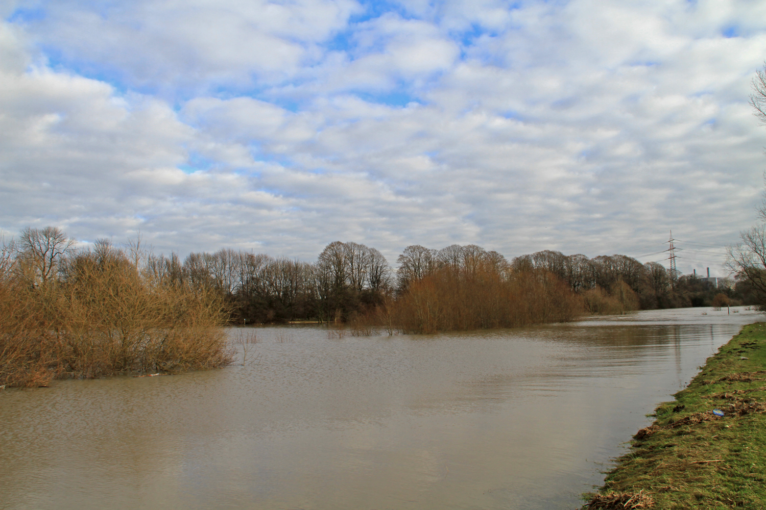 Rheinaue unter Wasser