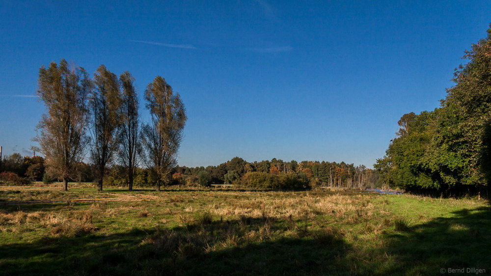 Rheinaue Walsum (Duisburg)