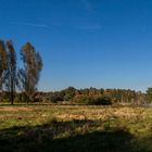 Rheinaue Walsum (Duisburg)