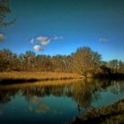 Rheinaue_01