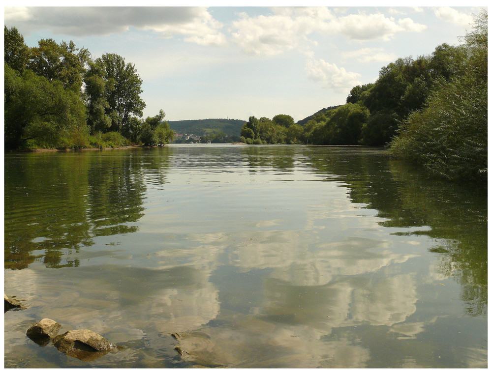Rheinauen