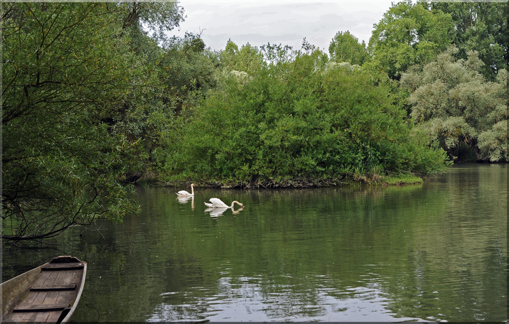 Rheinauen