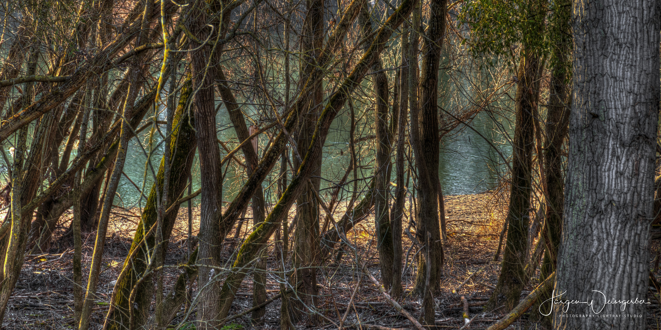 Rheinauen bei Dettenheim