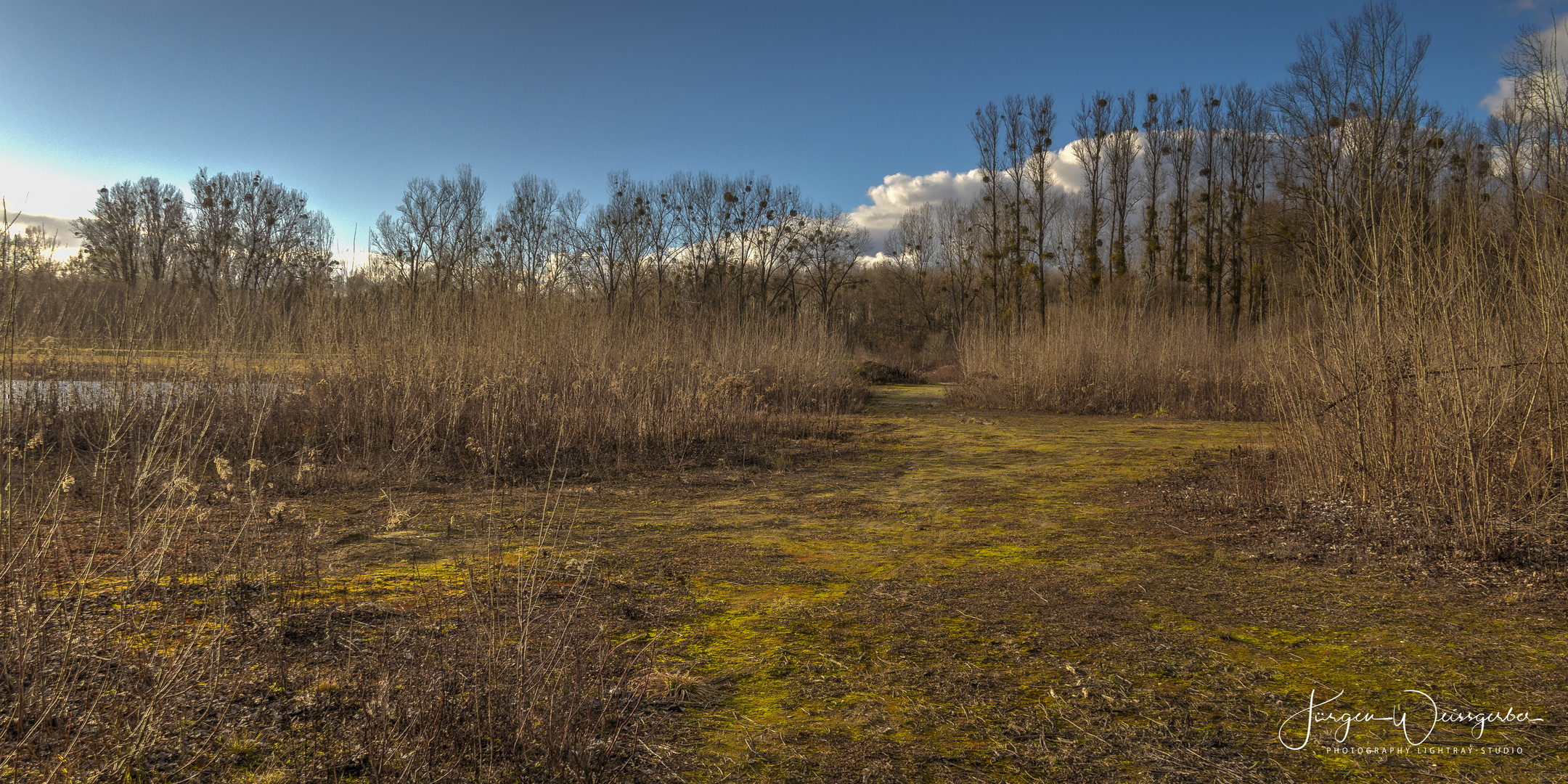 Rheinauen bei Dettenheim