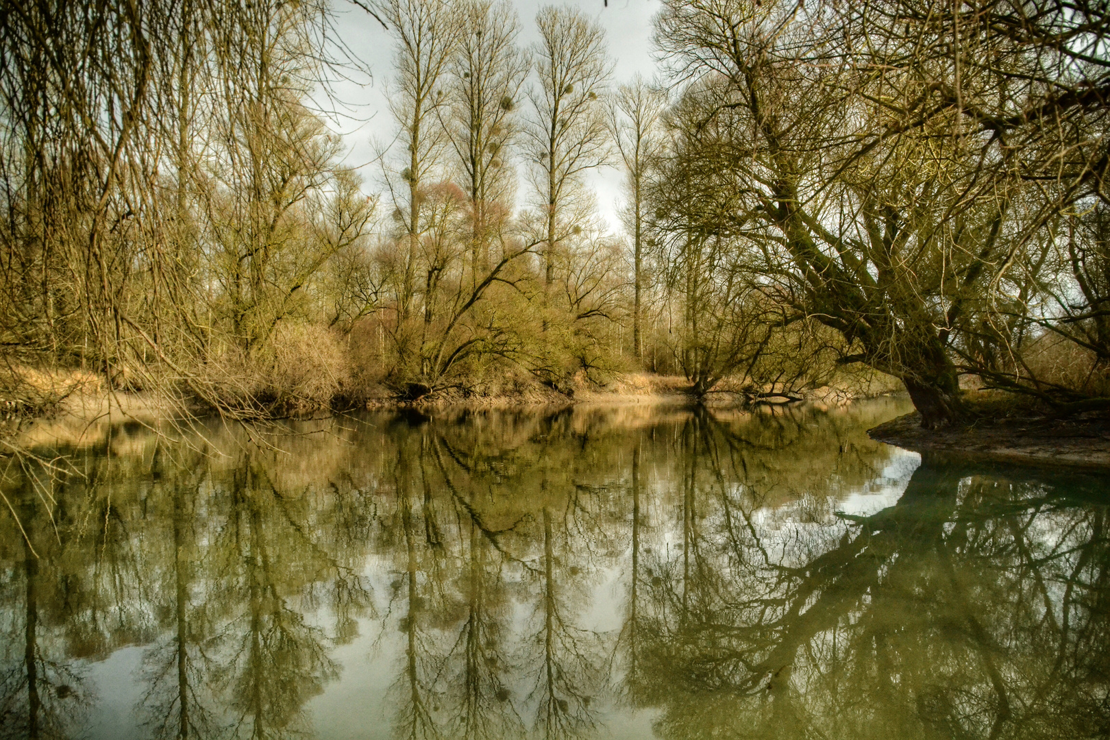 Rheinauen bei Rastatt