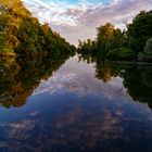 Rheinauen bei Wittenweier in der Ortenau 