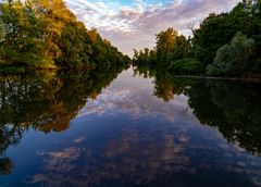 Rheinauen bei Wittenweier in der Ortenau 