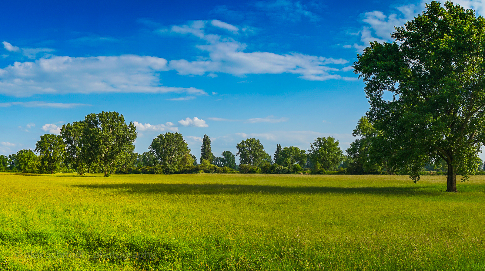 Rheinauen bei Worms