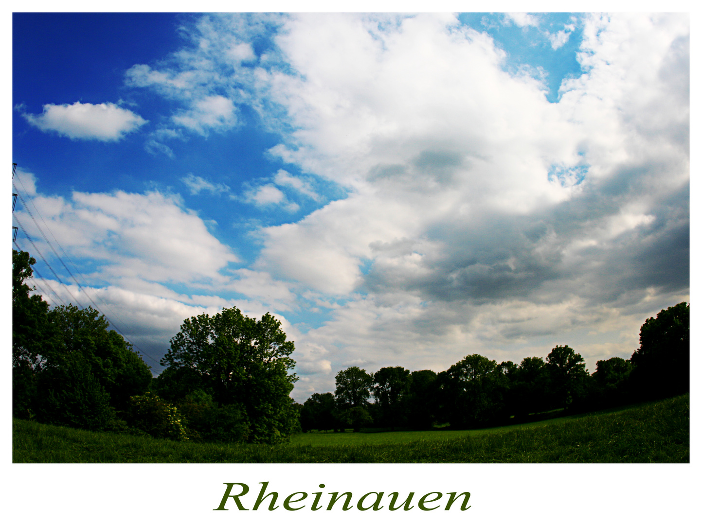 Rheinauen