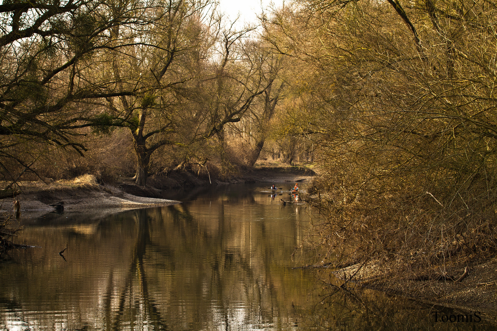 Rheinauen