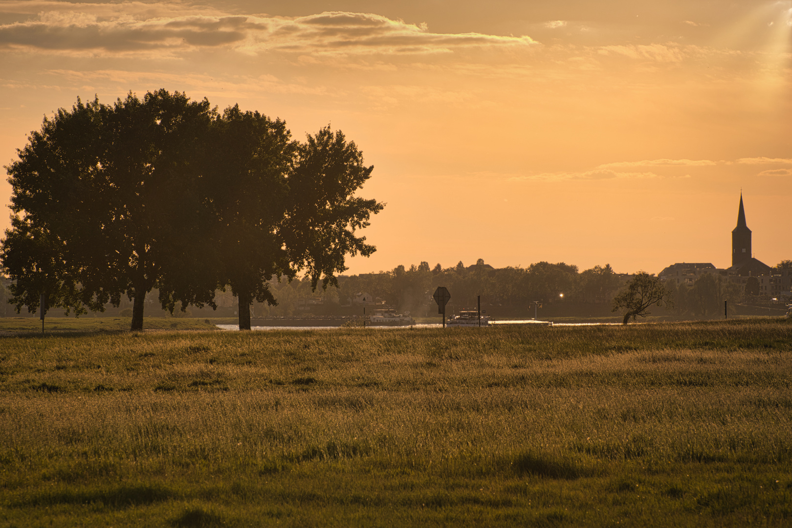 Rheinauen im Abendlicht