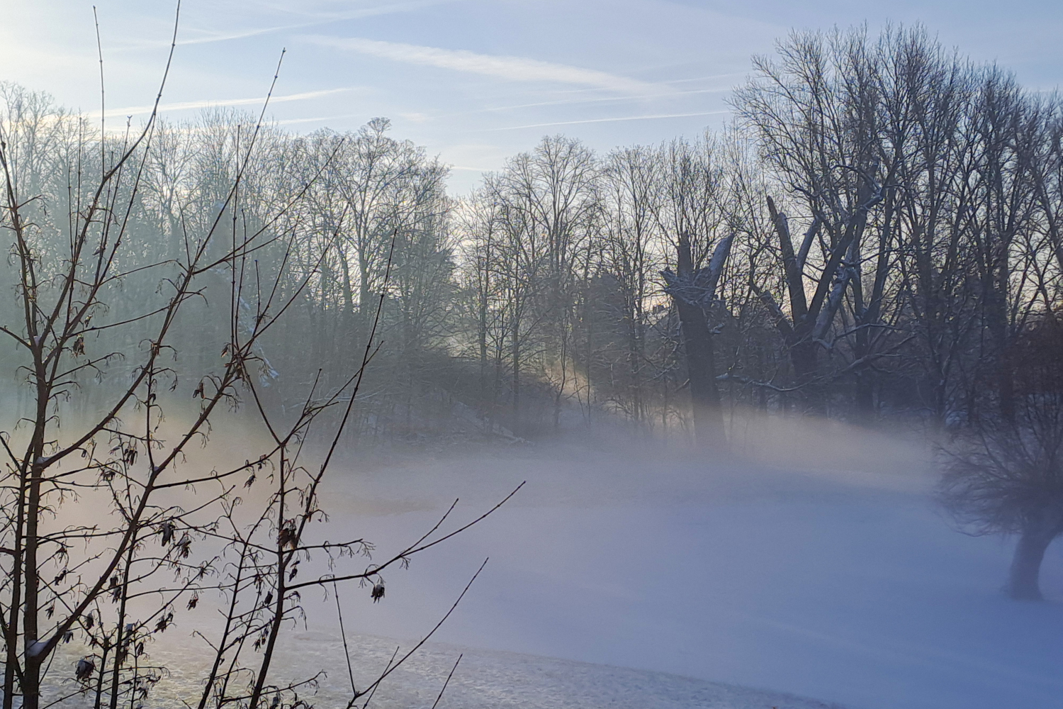 Rheinauen im Morgennebel