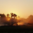 Rheinauen in Flammen